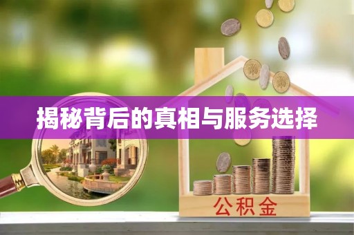 宜阳揭秘背后的真相与服务选择