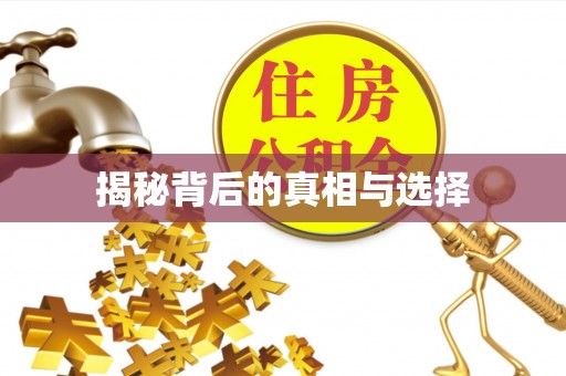 宜阳揭秘背后的真相与选择