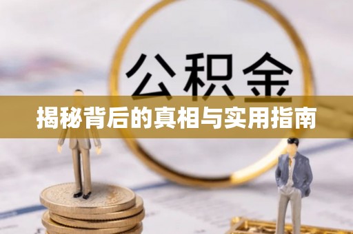 宜阳揭秘背后的真相与实用指南