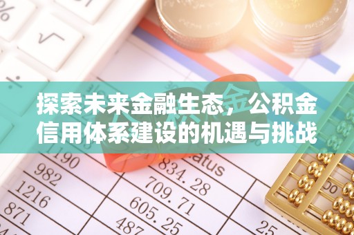 宜阳探索未来金融生态，公积金信用体系建设的机遇与挑战