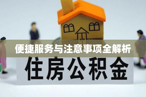 宜阳便捷服务与注意事项全解析