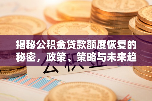 宜阳揭秘公积金贷款额度恢复的秘密，政策、策略与未来趋势