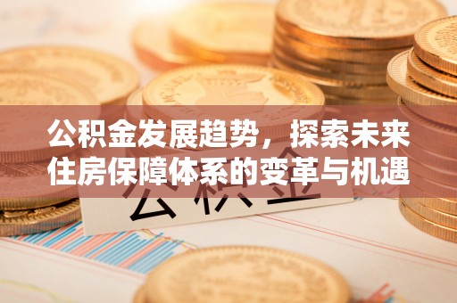 宜阳公积金发展趋势，探索未来住房保障体系的变革与机遇
