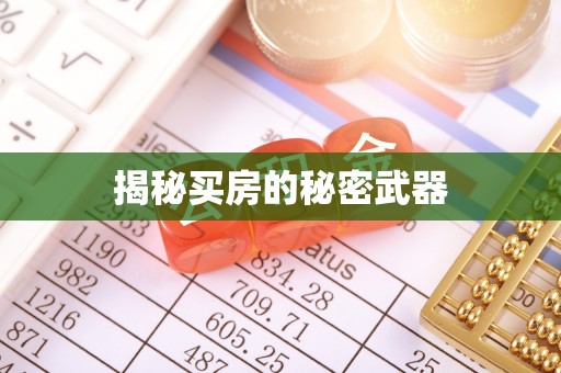 宜阳揭秘买房的秘密武器