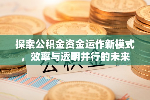 宜阳探索公积金资金运作新模式，效率与透明并行的未来