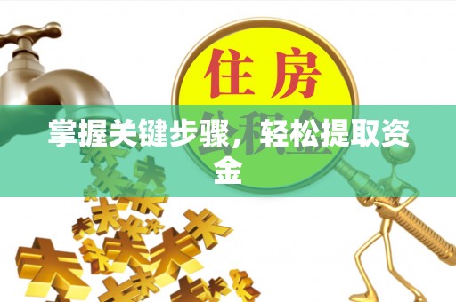 宜阳掌握关键步骤，轻松提取资金