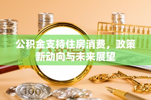 宜阳公积金支持住房消费，政策新动向与未来展望