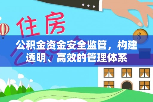 宜阳公积金资金安全监管，构建透明、高效的管理体系