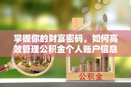 宜阳掌握你的财富密码，如何高效管理公积金个人账户信息