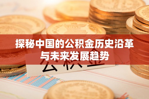 宜阳探秘中国的公积金历史沿革与未来发展趋势