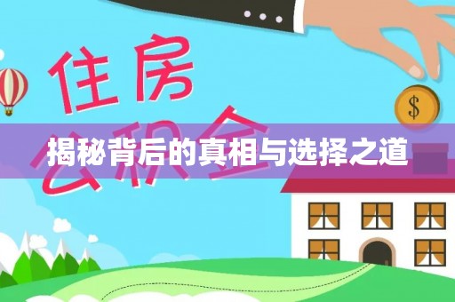 宜阳揭秘背后的真相与选择之道