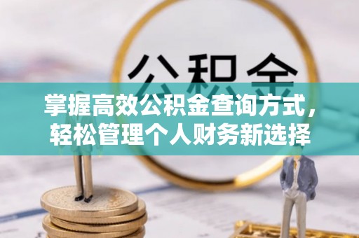 宜阳掌握高效公积金查询方式，轻松管理个人财务新选择