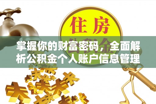 宜阳掌握你的财富密码，全面解析公积金个人账户信息管理与优化