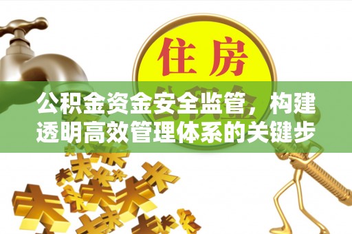 宜阳公积金资金安全监管，构建透明高效管理体系的关键步骤