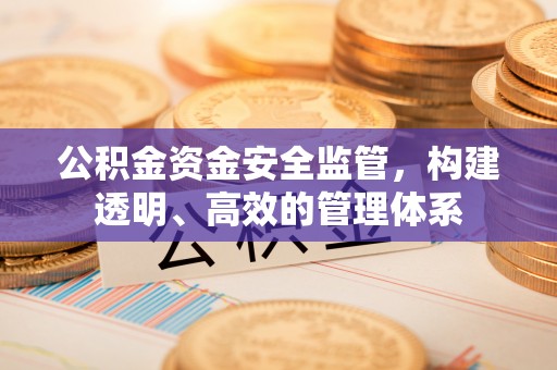 宜阳公积金资金安全监管，构建透明、高效的管理体系