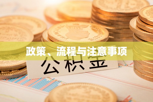 宜阳政策、流程与注意事项