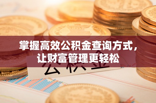 宜阳掌握高效公积金查询方式，让财富管理更轻松