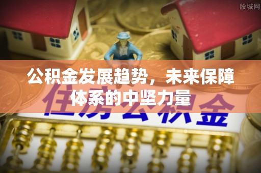 宜阳公积金发展趋势，未来保障体系的中坚力量