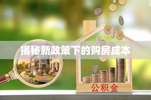 宜阳揭秘新政策下的购房成本