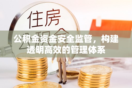 宜阳公积金资金安全监管，构建透明高效的管理体系
