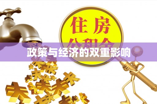 宜阳政策与经济的双重影响