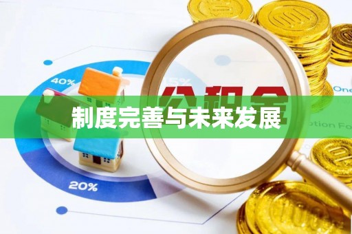 宜阳制度完善与未来发展