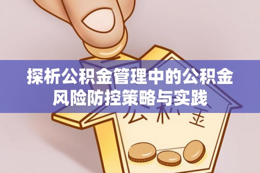 宜阳探析公积金管理中的公积金风险防控策略与实践