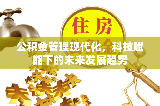 宜阳公积金管理现代化，科技赋能下的未来发展趋势