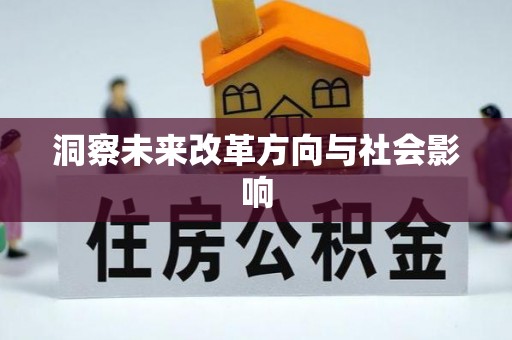 宜阳洞察未来改革方向与社会影响