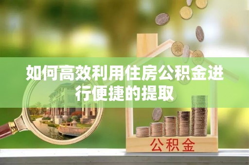 宜阳如何高效利用住房公积金进行便捷的提取