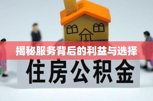 宜阳揭秘服务背后的利益与选择