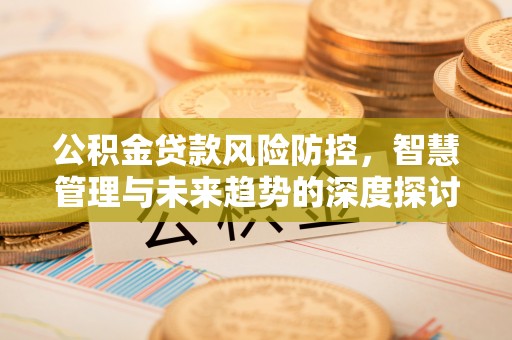 宜阳公积金贷款风险防控，智慧管理与未来趋势的深度探讨