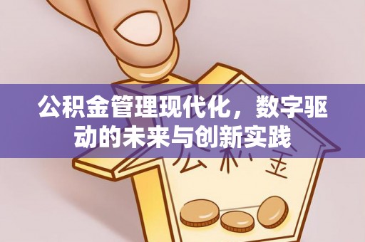 宜阳公积金管理现代化，数字驱动的未来与创新实践