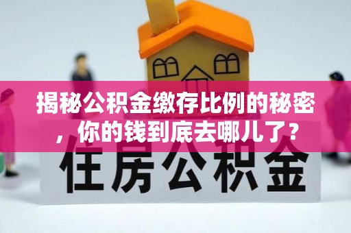 宜阳揭秘公积金缴存比例的秘密，你的钱到底去哪儿了？