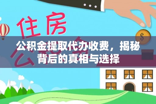 宜阳公积金提取代办收费，揭秘背后的真相与选择