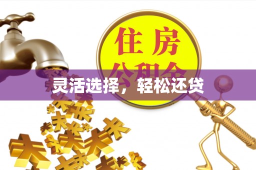 宜阳灵活选择，轻松还贷
