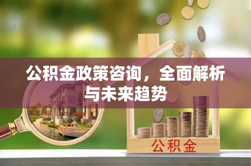 宜阳公积金政策咨询，全面解析与未来趋势
